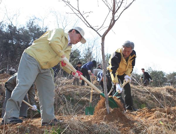 2008 식목행사에서 나무심기