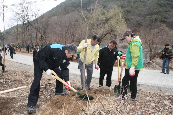 2013나무심기행사