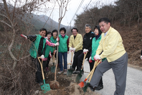 2013나무심기행사
